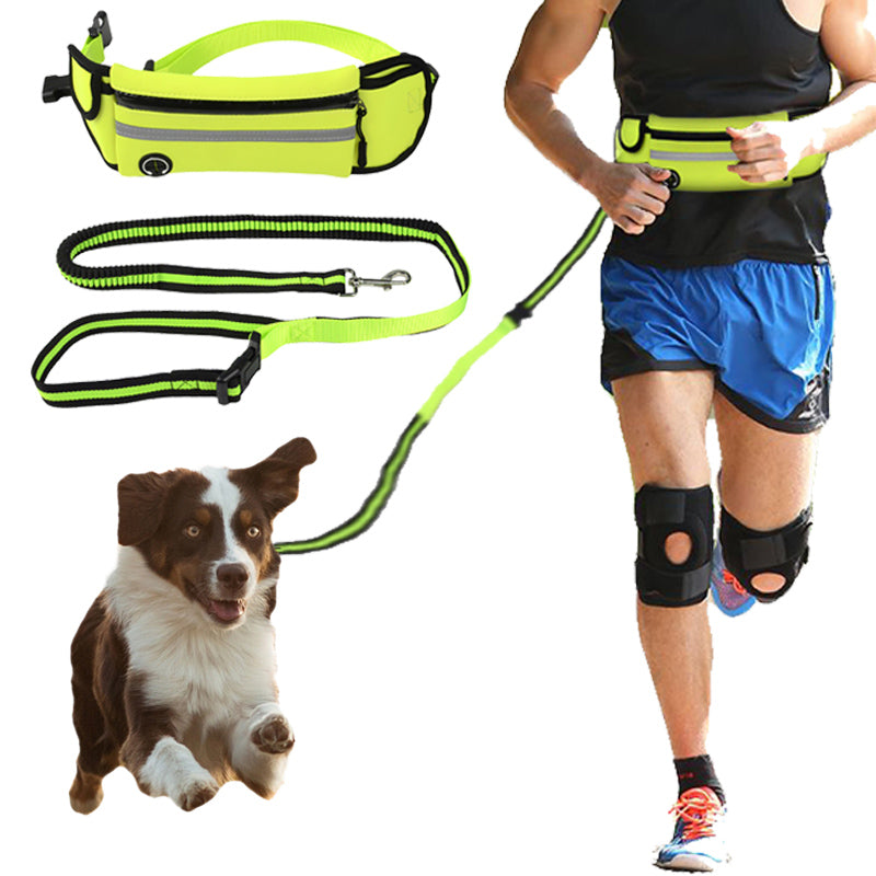 Hands-Free Reflective Pet Waist leash with Bag