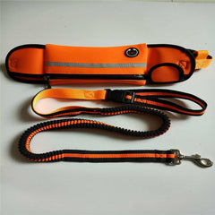 Hands-Free Reflective Pet Waist leash with Bag