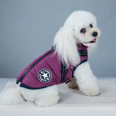New Dog Vest for Pets - Teddy & Bichon Style