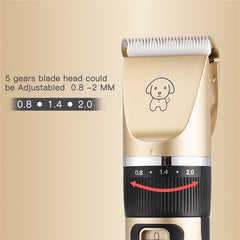 Professional Pet Hair Grooming Set