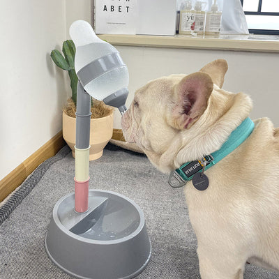 Automatic and Adjustable Pet Water Dispenser Stand