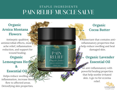 Arnica Montana Sore Muscle Salve