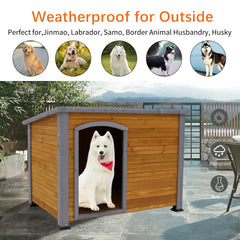 Wooden Dog House for Indoor & Outdoor Use